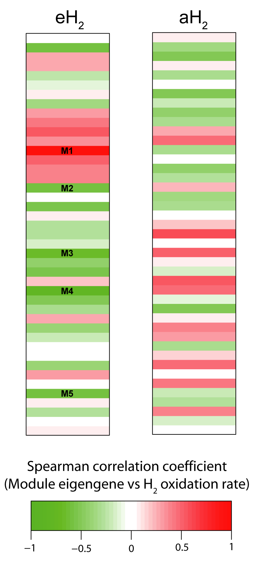 H2-saturation of high affinity H2-oxidizing bacteria alters the ...