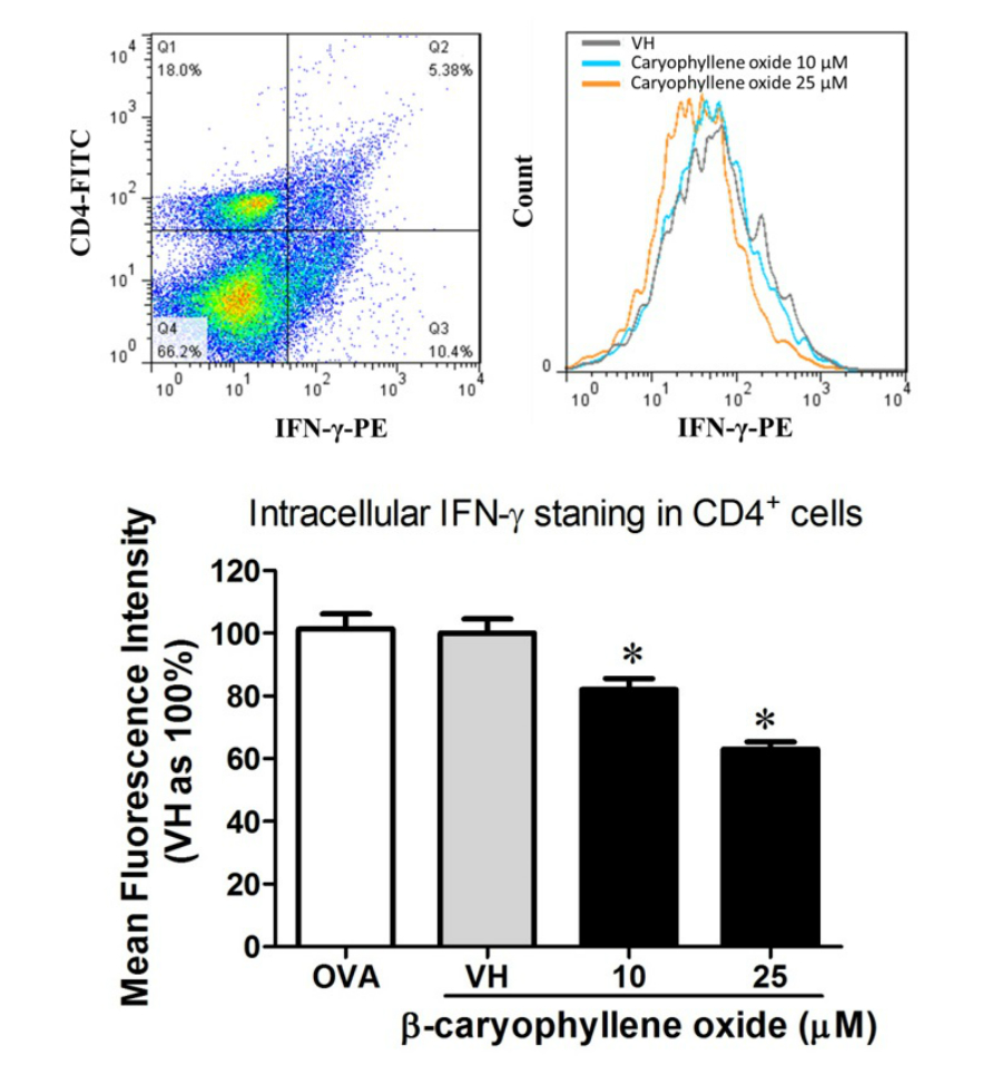 Attenuation of antigenspecific T helper 1 immunity by Neolitsea
