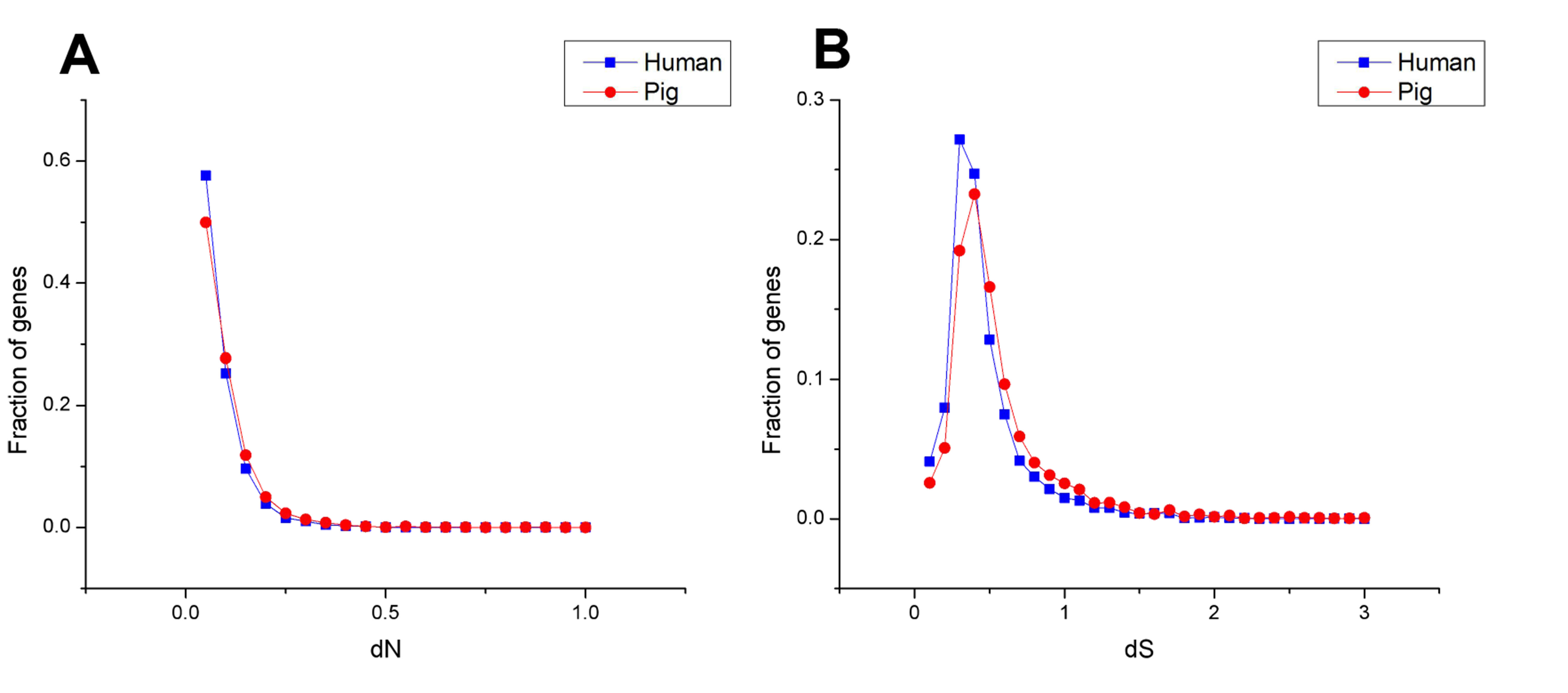 Divergent and convergent evolution of housekeeping genes in humanpig lineage [PeerJ]
