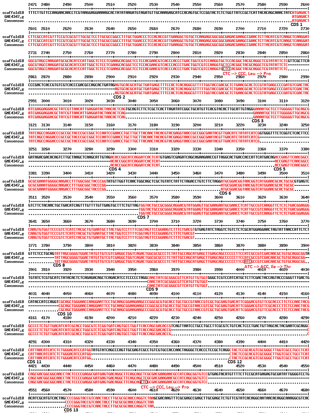 Molecular attributes and apoptosis-inducing activities of a putative ...