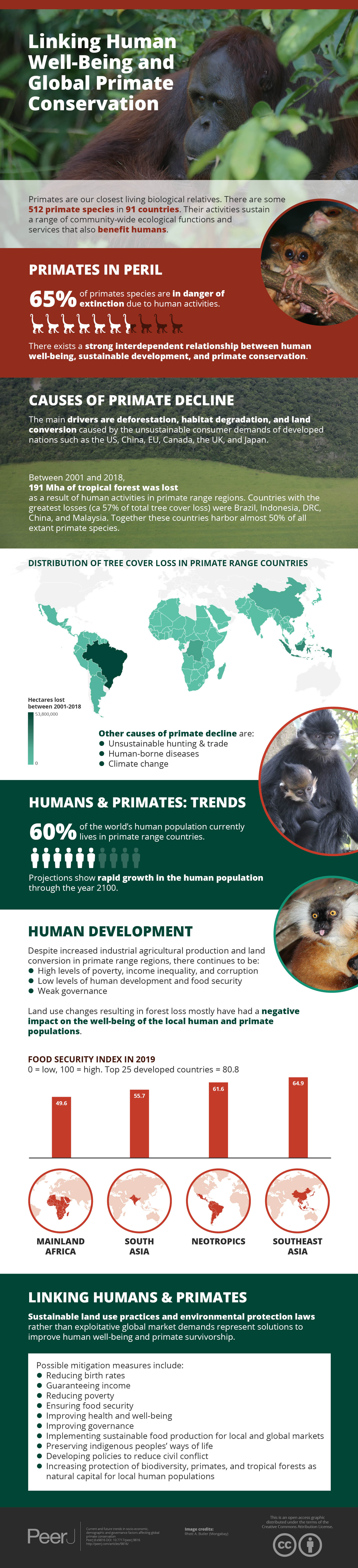Factors influencing terrestriality in primates of the Americas and  Madagascar
